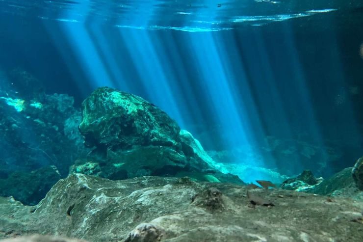 liquido fondale marino preoccupazione esperti