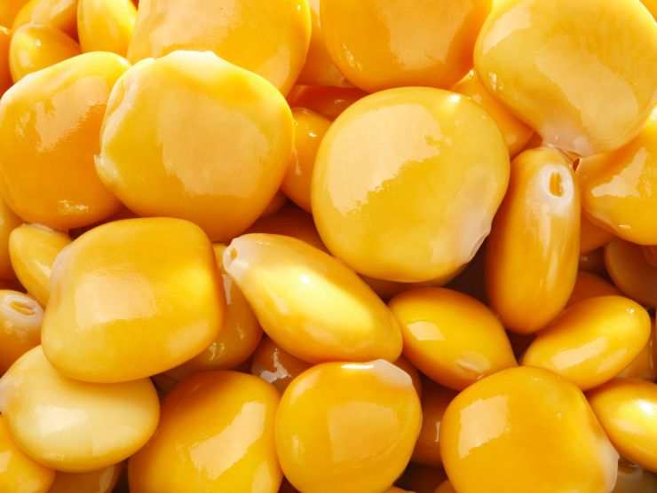 lupini controindicazioni