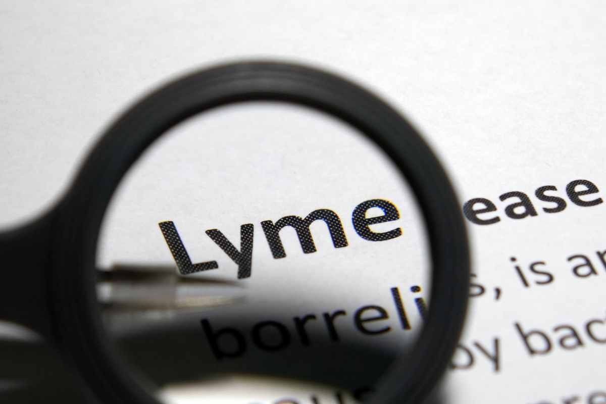 Malattia di Lyme: aumentano i casi