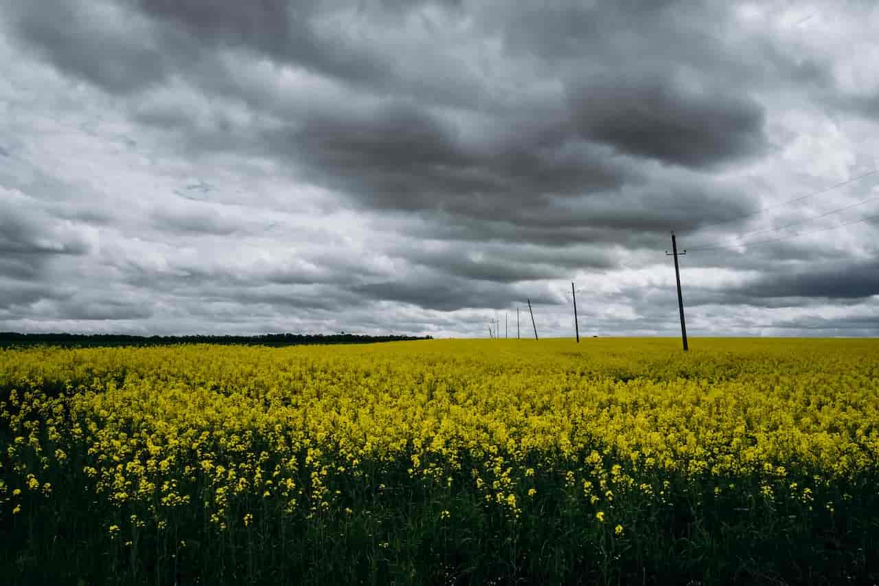 meteo giugno temporali