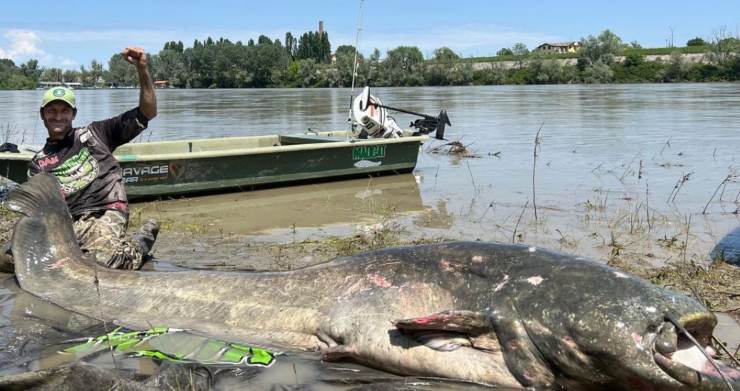 il pesce dei record pescato nel po