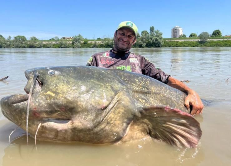 quanto è lungo il pesce siluro pescato nel po