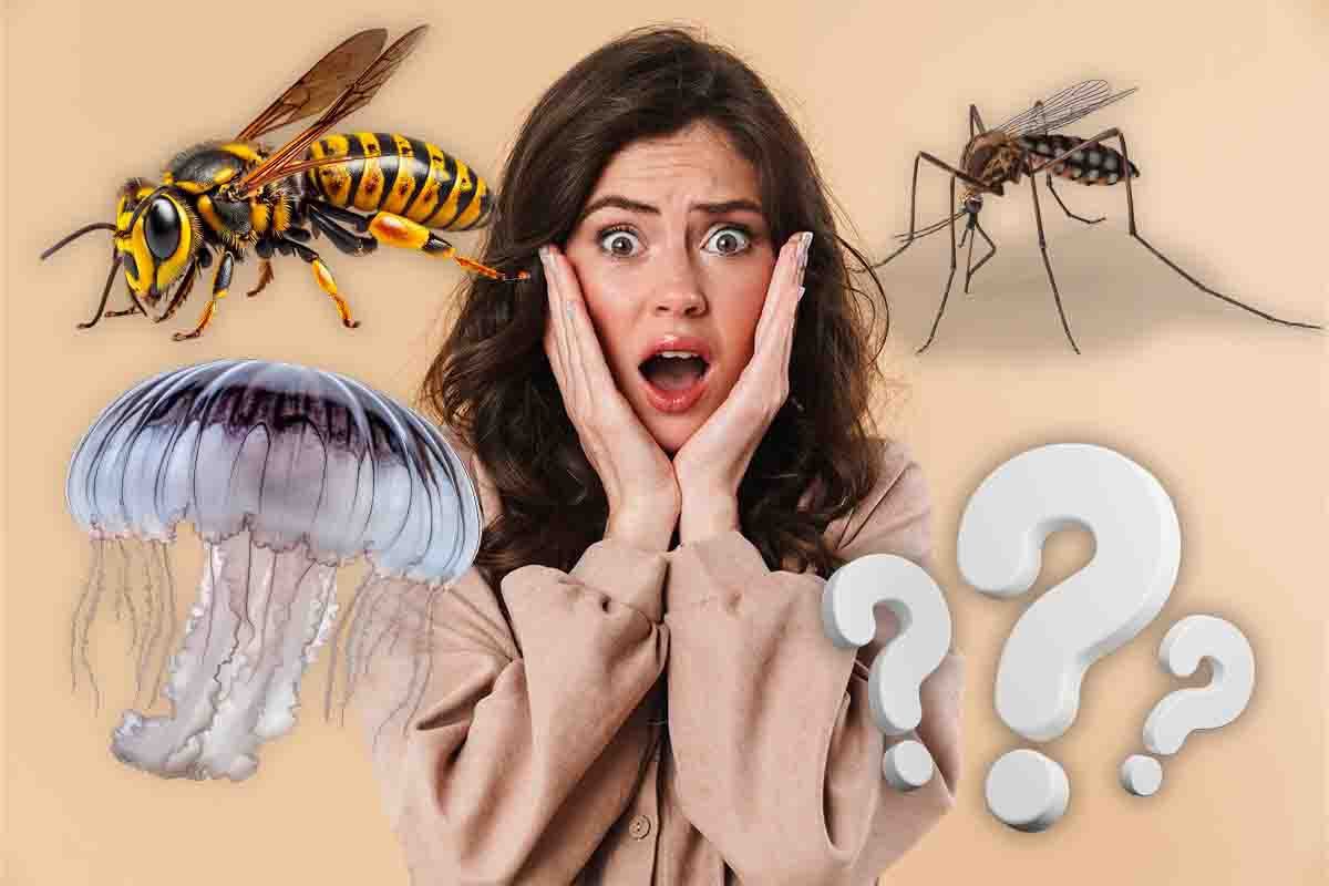 Puntura di vespa, medusa e zanzara: cosa fare