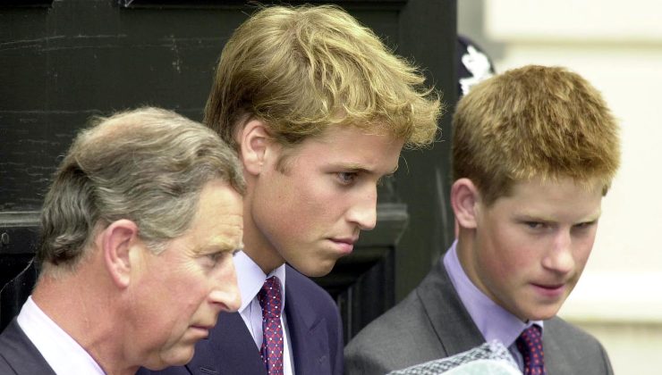 Il Principe Harry e le sue parole sul principe William