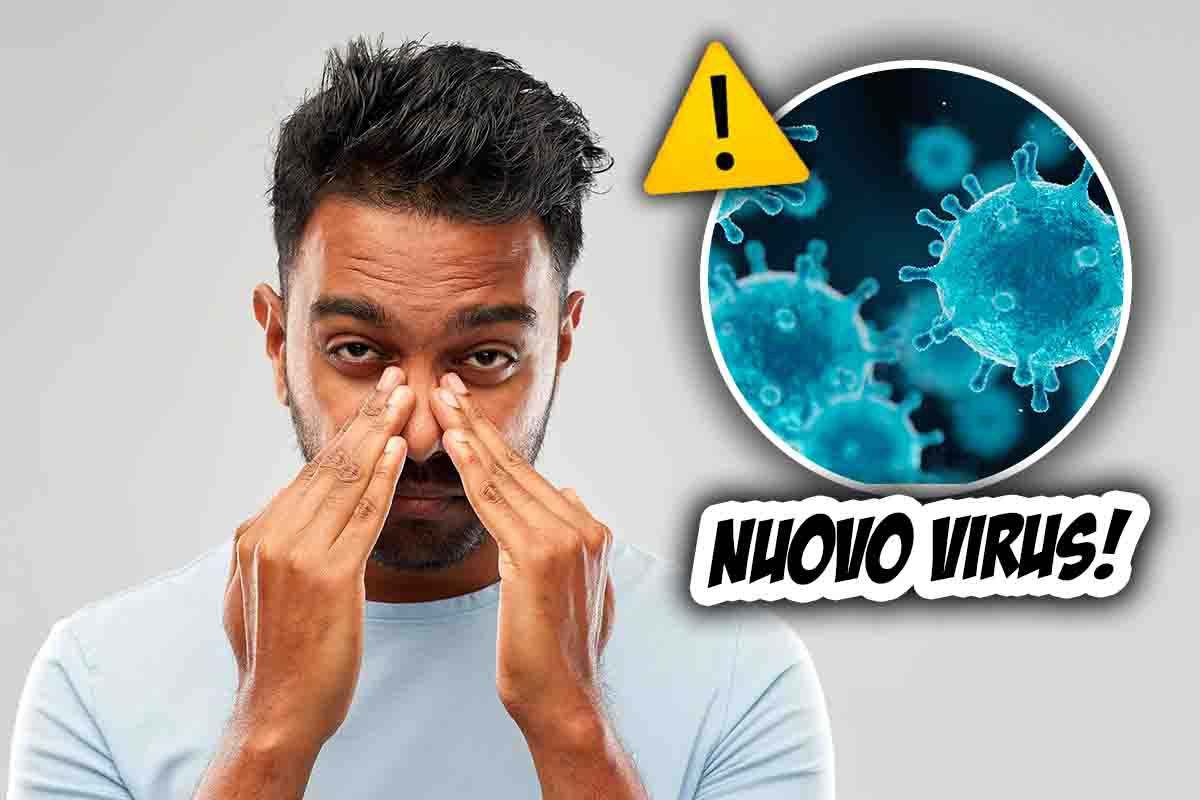 Nuovo virus: coinvolge il naso
