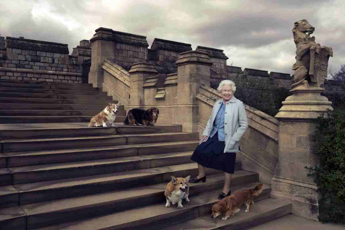 Che fine hanno fatto i cani della Regina Elisabetta