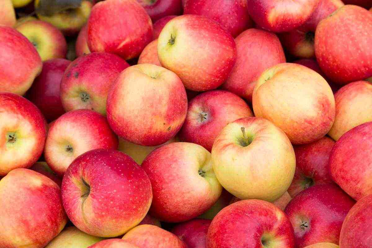 Perché mangiare le mele con la loro buccia