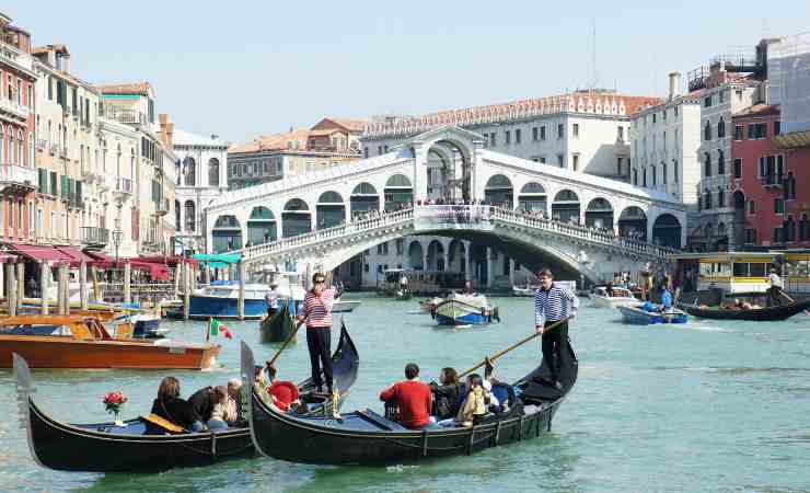 il bellini è nato a venezia