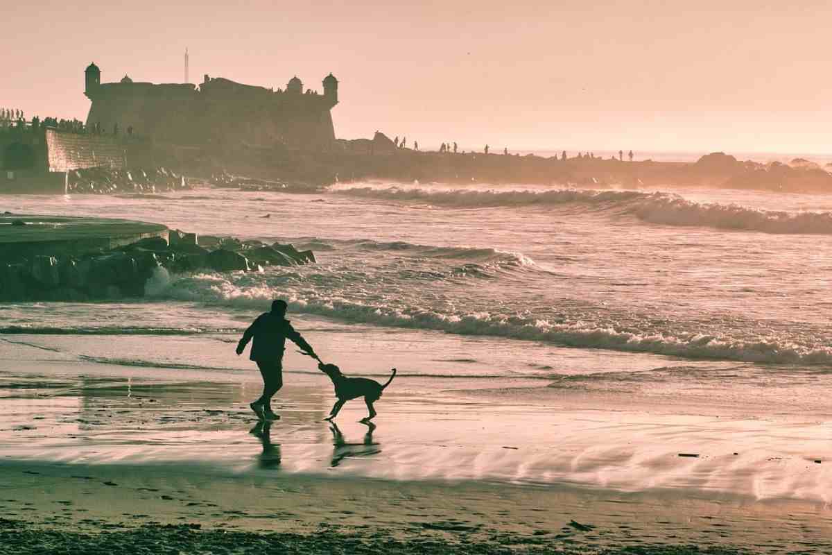 cani spiaggia regole da rispettare