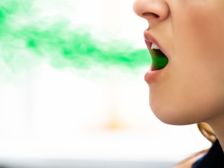 alito cattivo soluzione definitiva