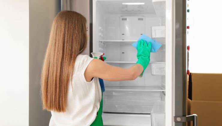Perché alcuni frigoriferi hanno una funzione vacanza?