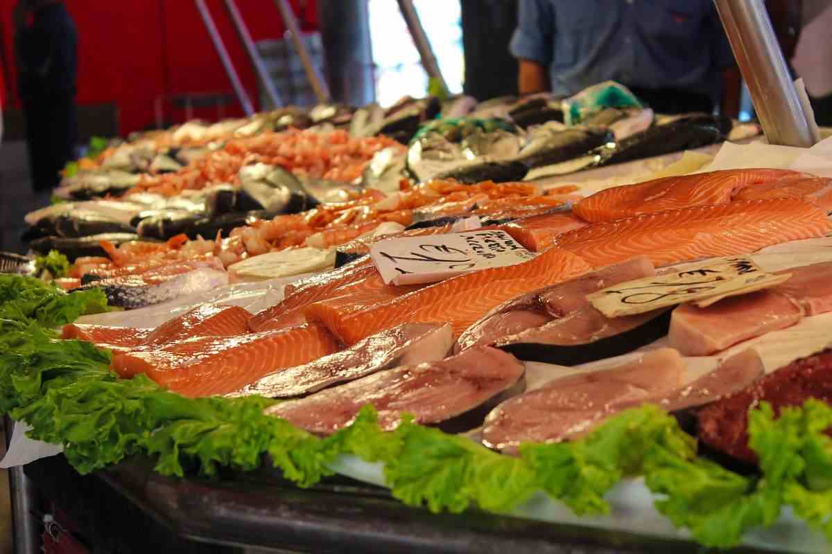 tonno pesce spada contaminato italia allarme studiosi