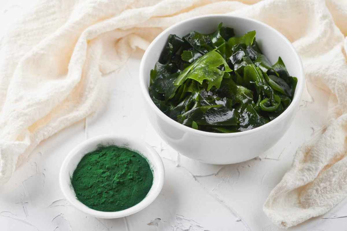 proprietà alga spirulina 