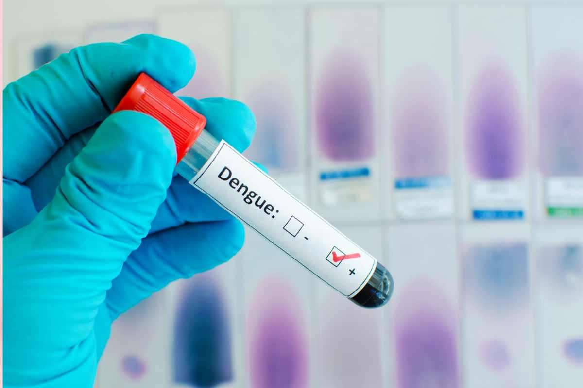 La febbre Dengue è arrivata in Italia