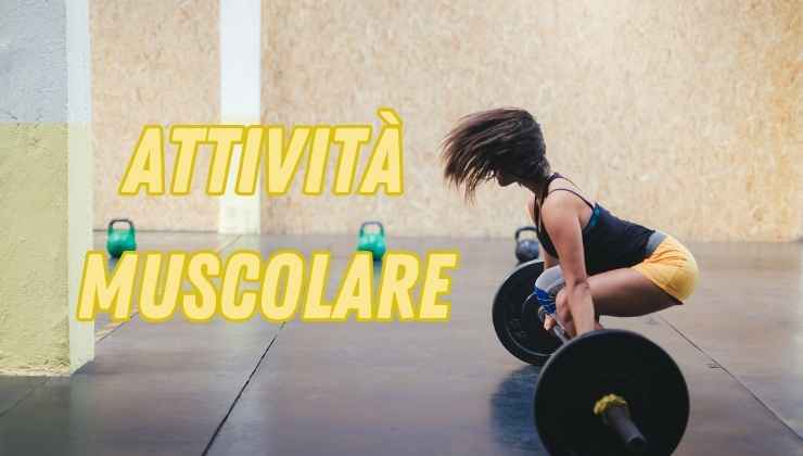 cardio e muscolare