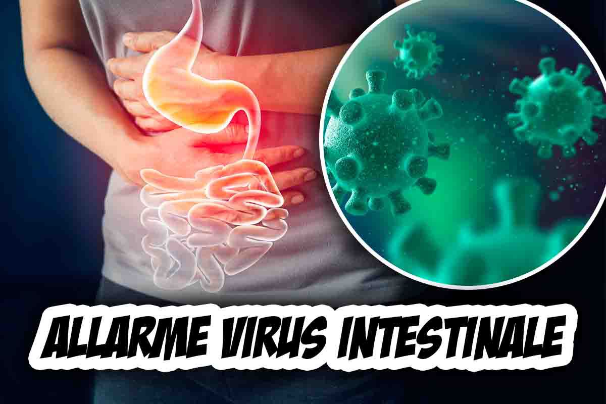 Allarme virus intestinale