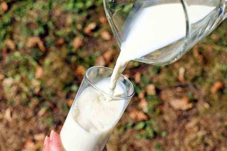 Il latte crudo contiene batteri