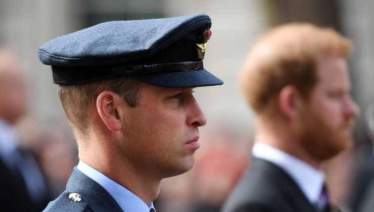 Sondaggio William e Harry