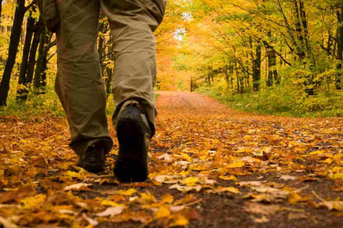 fare una passeggiata al giorno fa bene