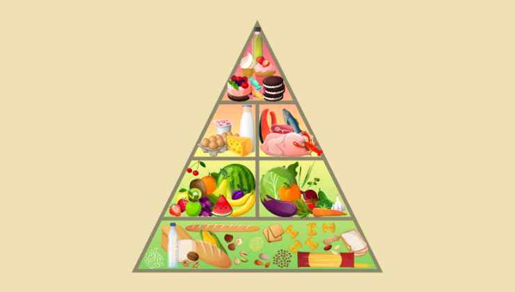 cos'è piramide alimentare 
