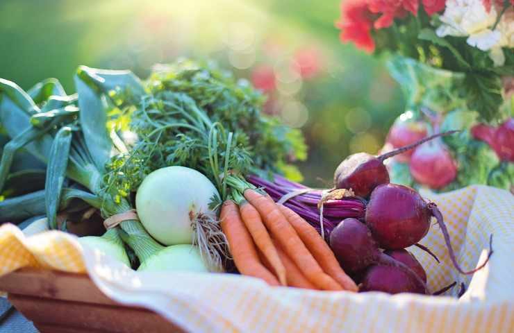 frutta e verdura fondamentali per la crescita