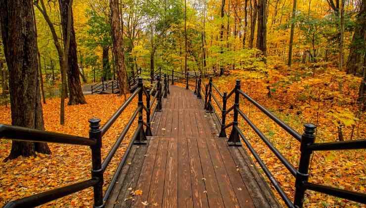 al parco nazionale della majella si può ammirare un foliage magnifico