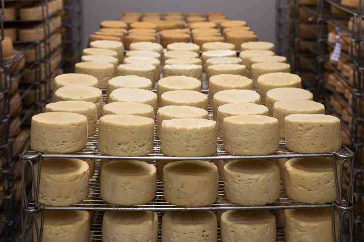 Il formaggio previene patologie cerebrali