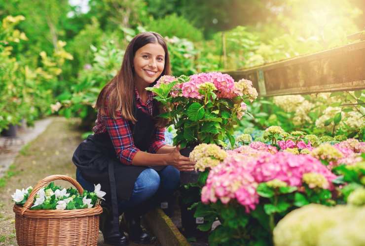 quali sono le attività meno stressanti