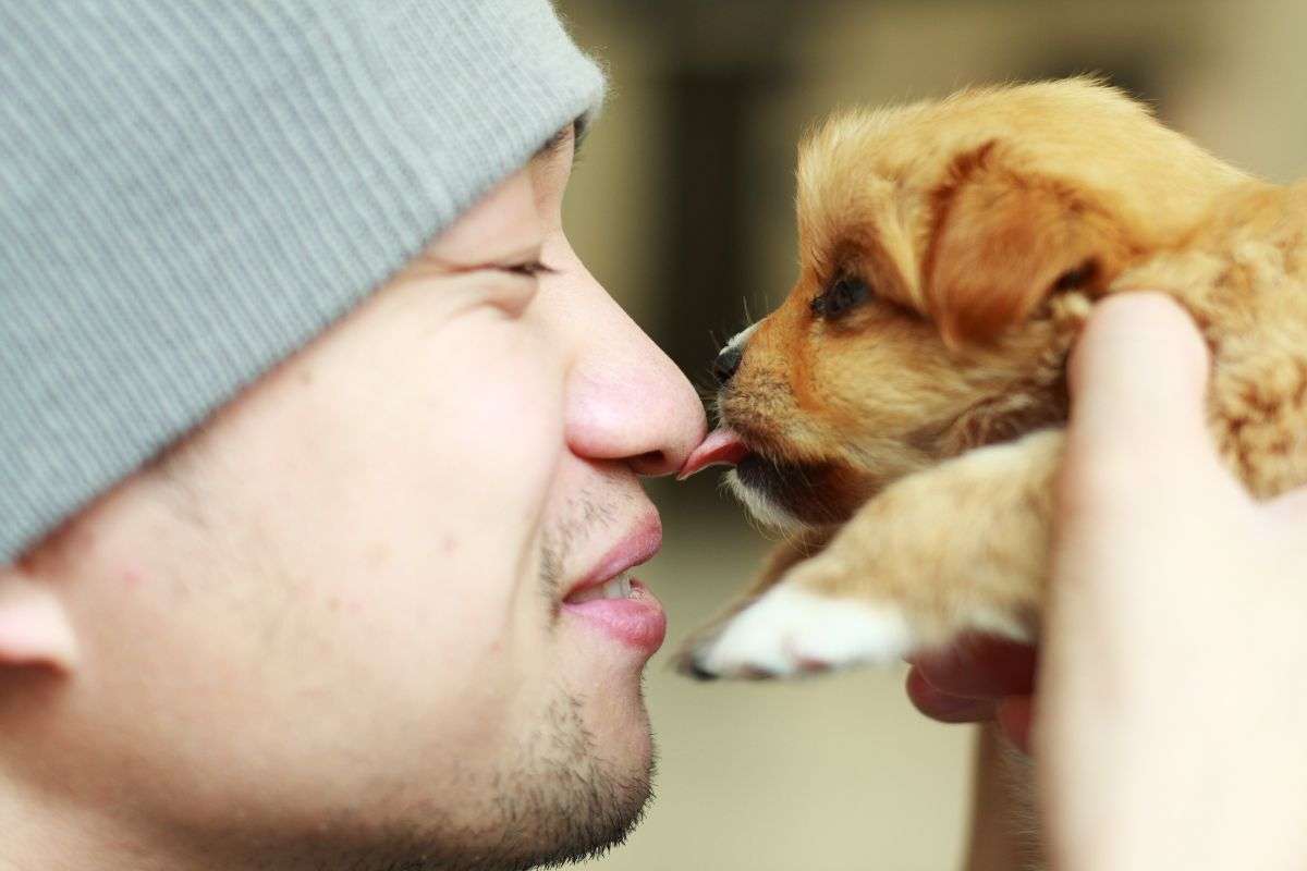 i cani riconoscono i padroni con olfatto e udito