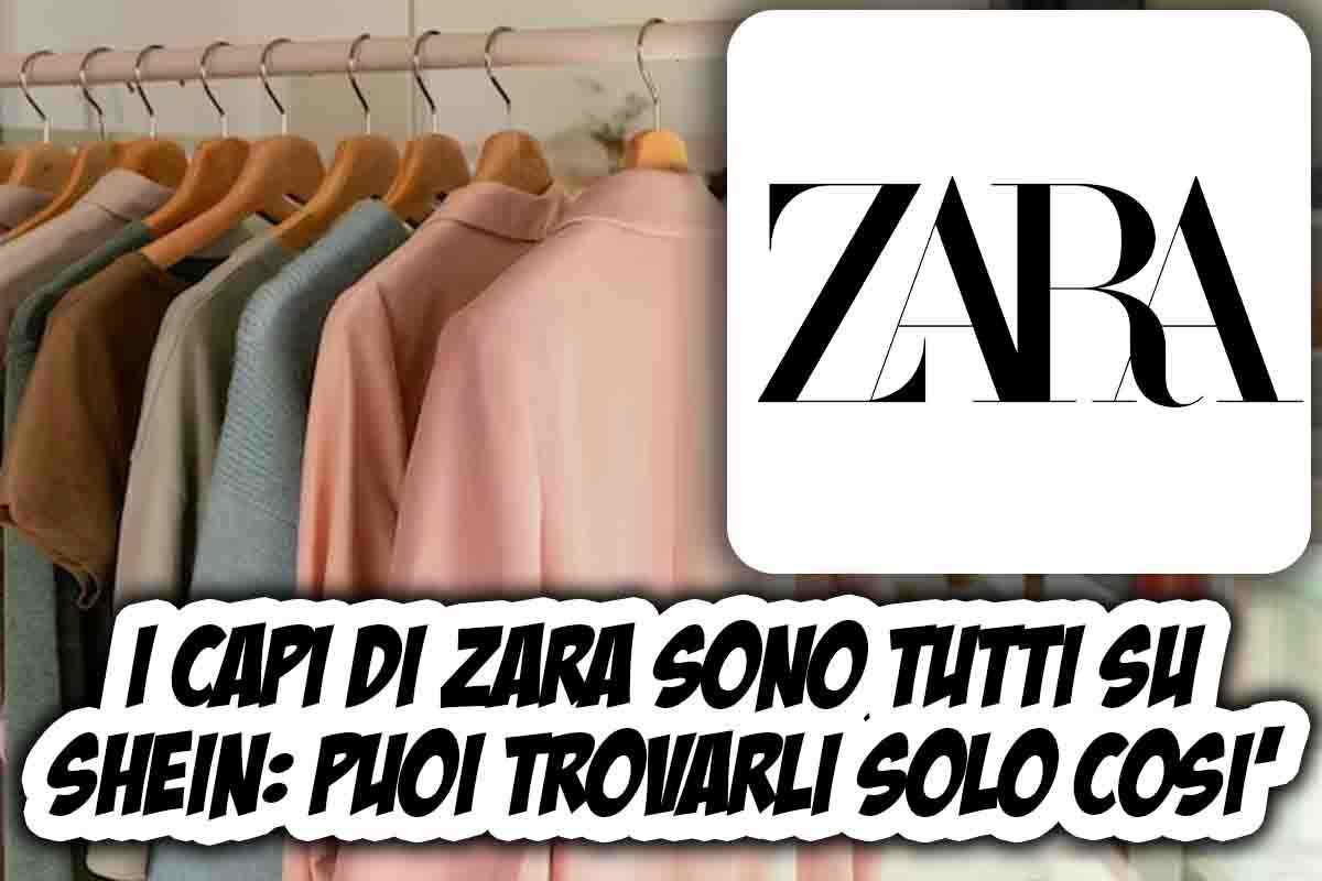 Catalogo di Zara su Shein
