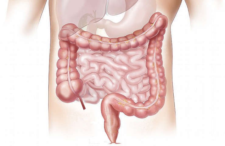 intestino segnali attenzione