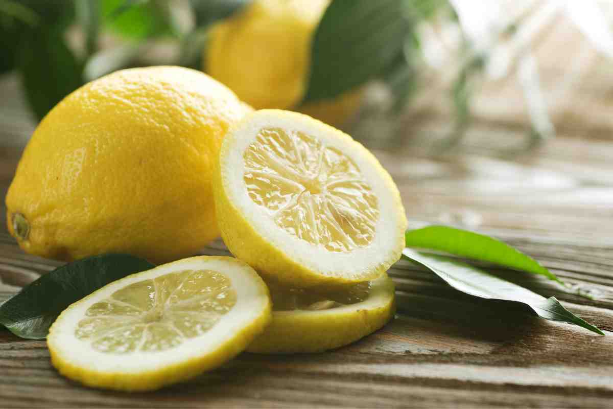 congelare limoni motivo