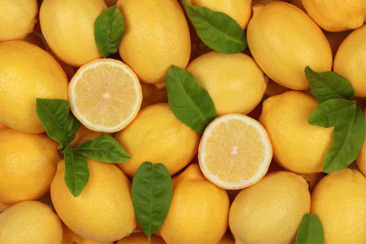 come conservare limoni in freezer