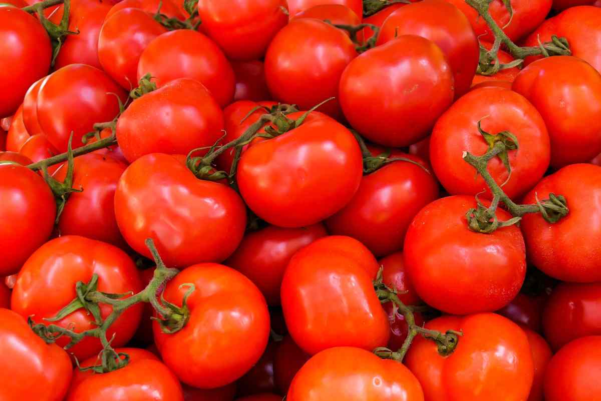 Pomodoro, ecco quando non dovresti mangiarlo